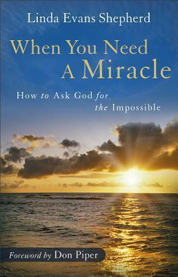 Cover of When You Need A Miracle